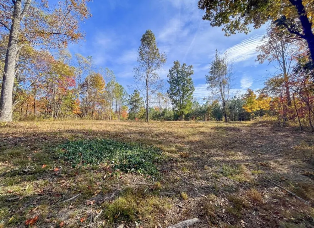 390 Volunteer Street Jasper, TN 37347