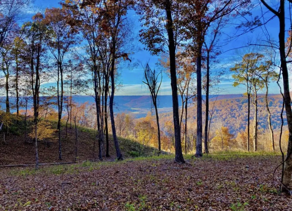 390 Volunteer Street Jasper, TN 37347
