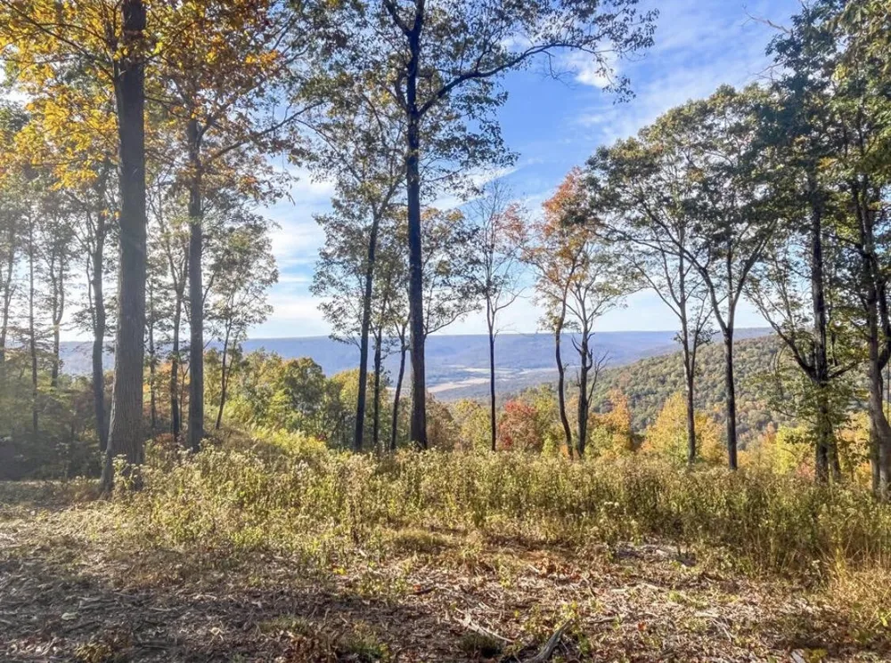390 Volunteer Street Jasper, TN 37347