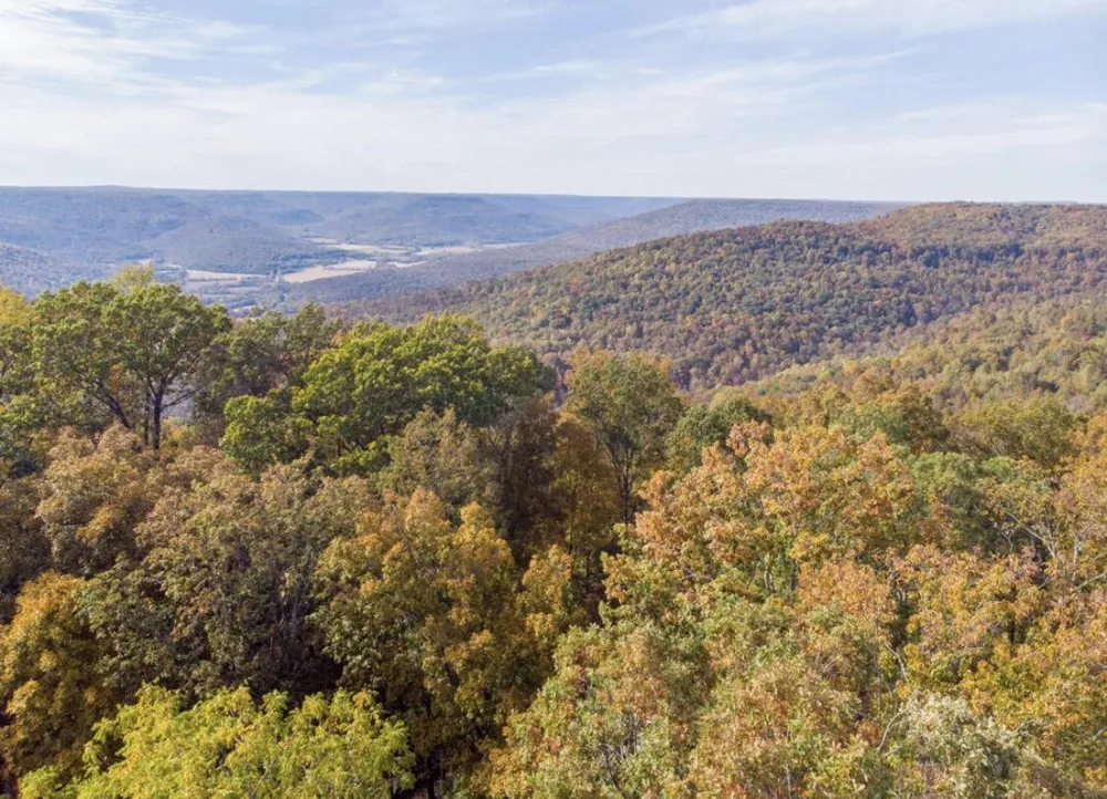 390 Volunteer Street Jasper, TN 37347