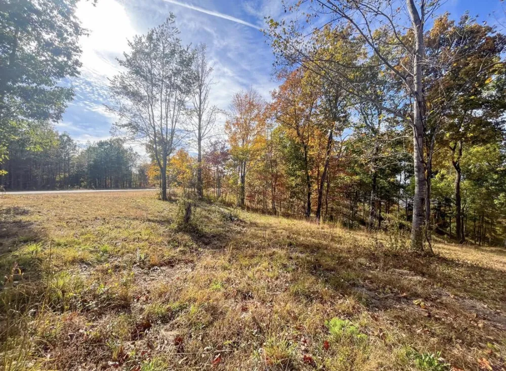 390 Volunteer Street Jasper, TN 37347