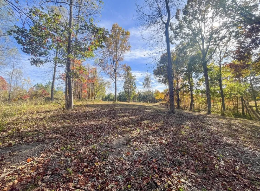 390 Volunteer Street Jasper, TN 37347