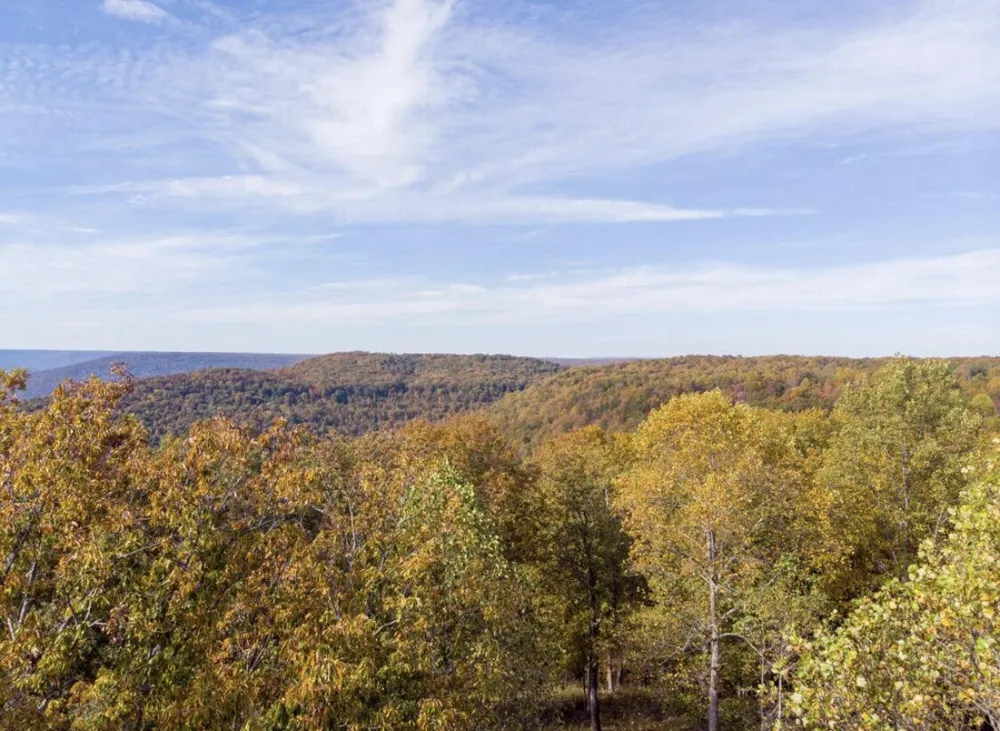 390 Volunteer Street Jasper, TN 37347