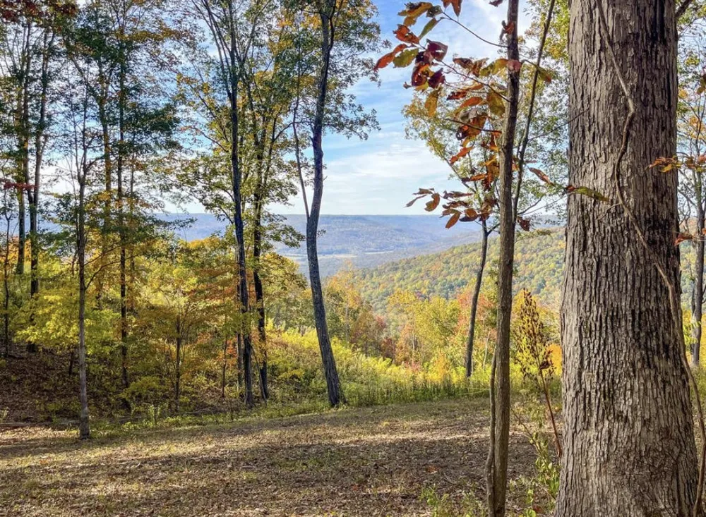 390 Volunteer Street Jasper, TN 37347