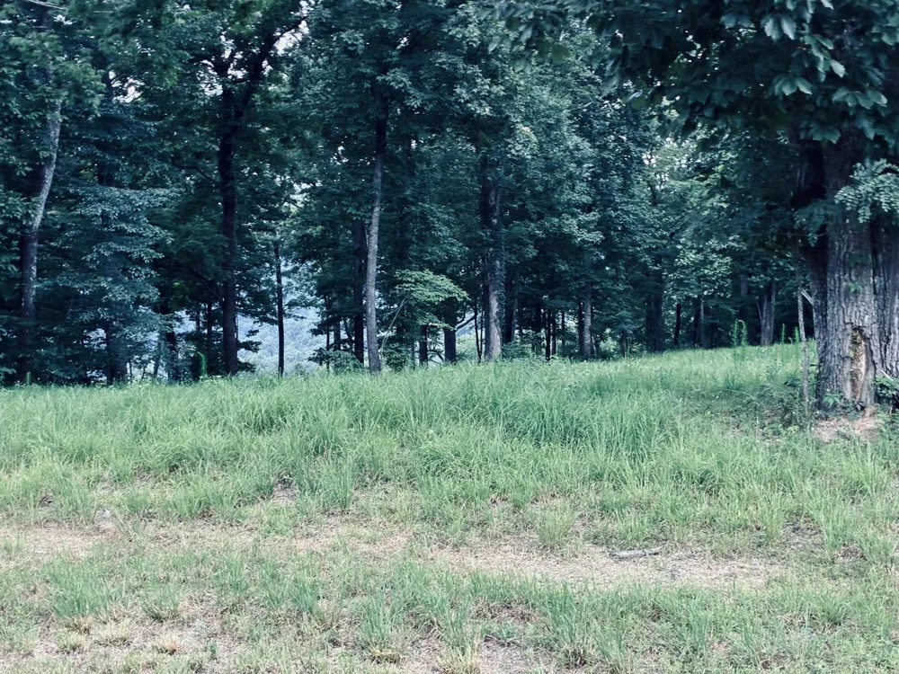 390 Volunteer Street Jasper, TN 37347