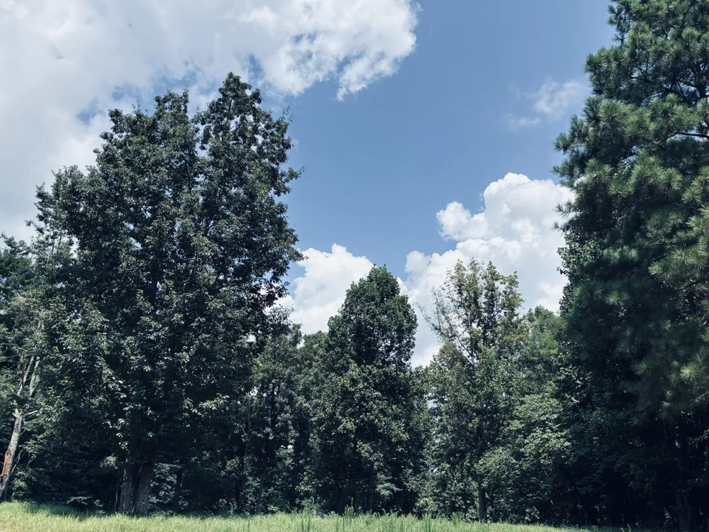 390 Volunteer Street Jasper, TN 37347