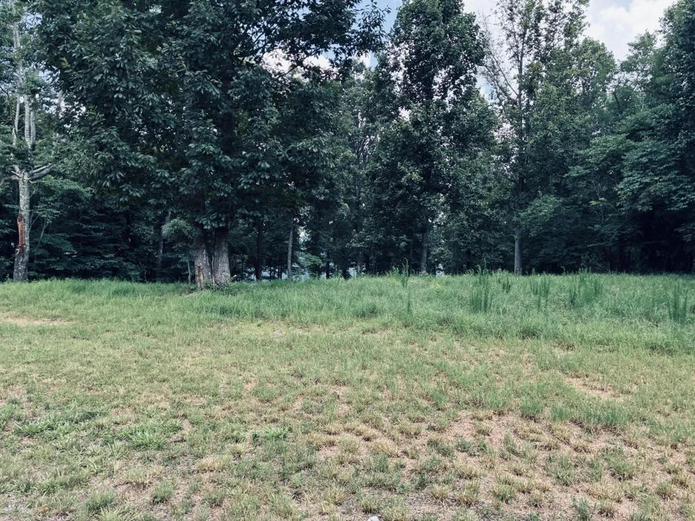 390 Volunteer Street Jasper, TN 37347