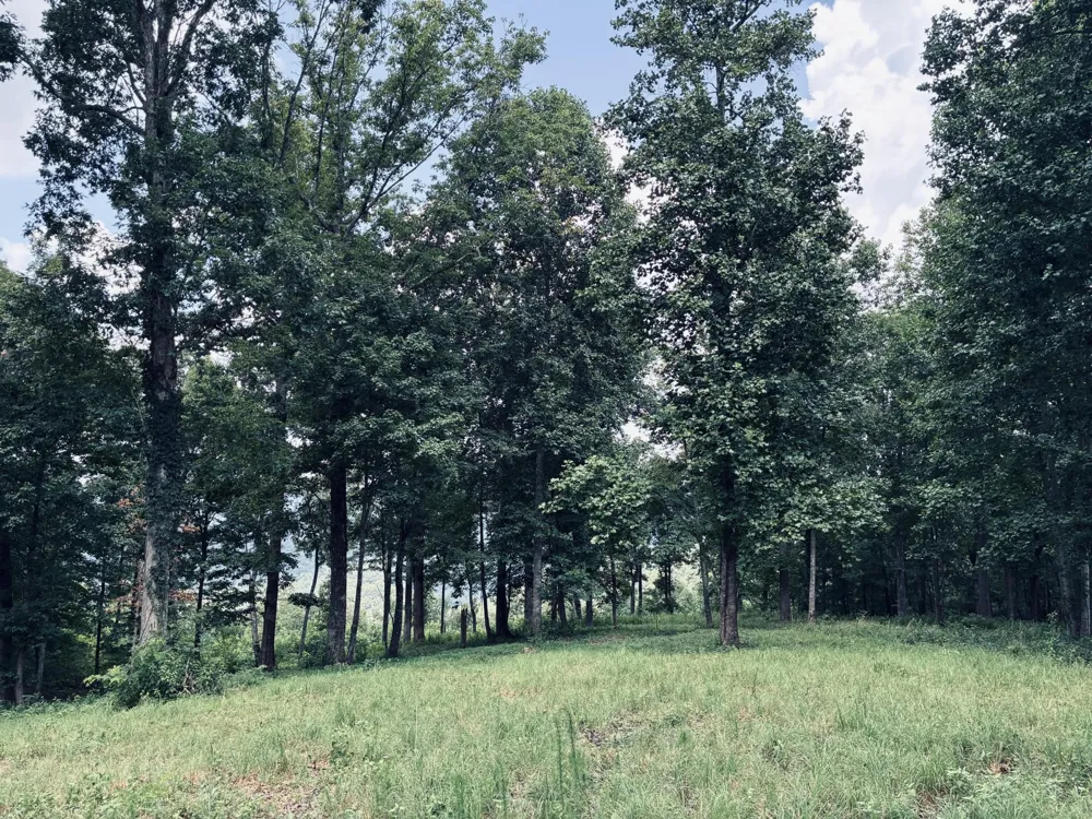 390 Volunteer Street Jasper, TN 37347