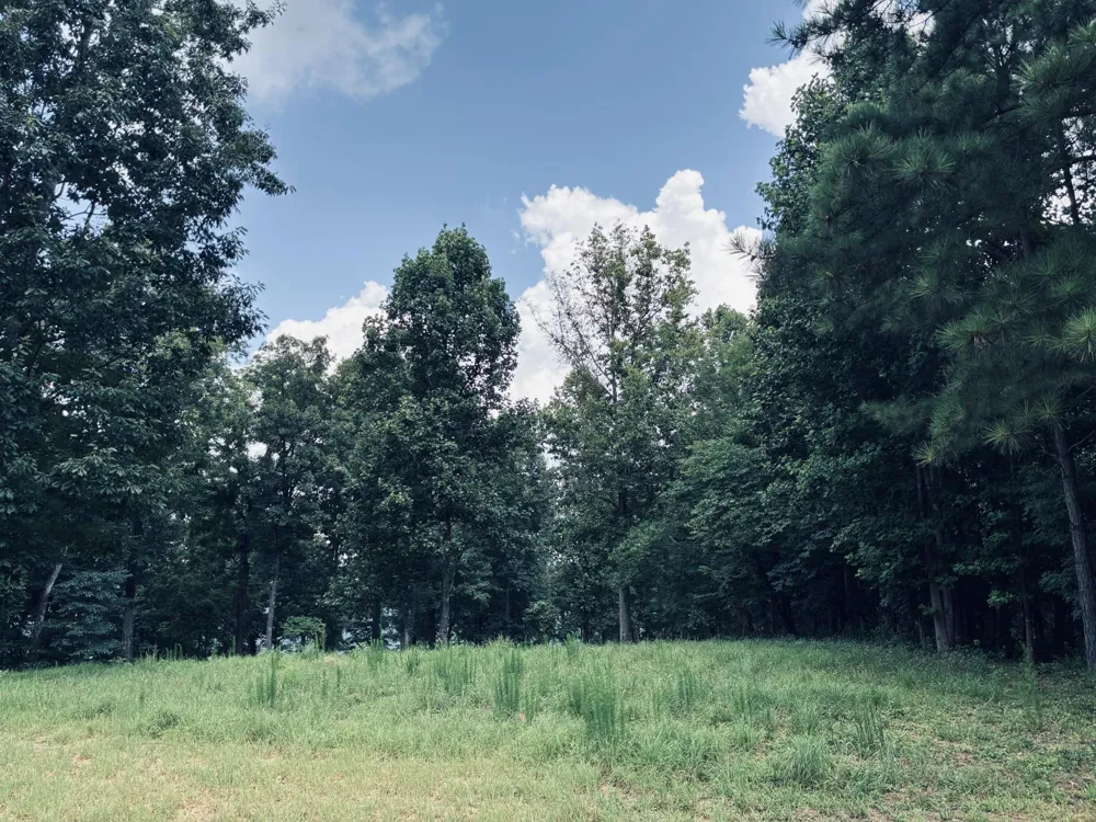 390 Volunteer Street Jasper, TN 37347