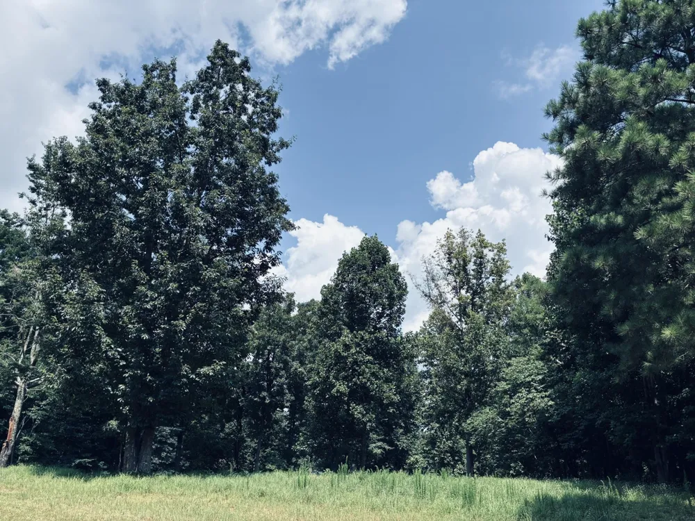 390 Volunteer Street Jasper, TN 37347