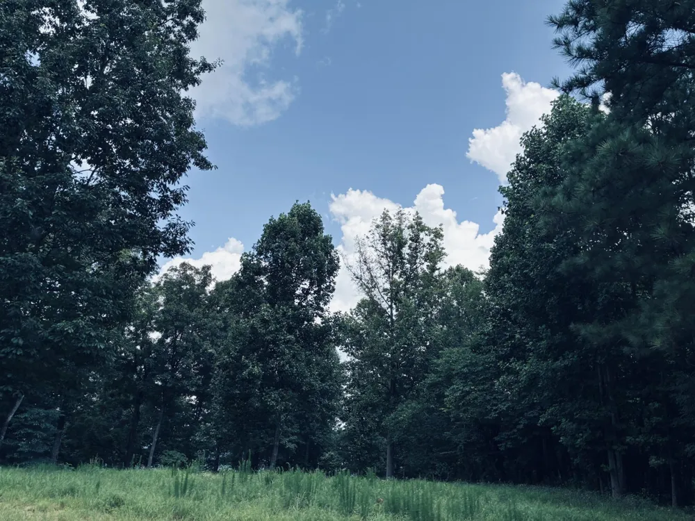 390 Volunteer Street Jasper, TN 37347