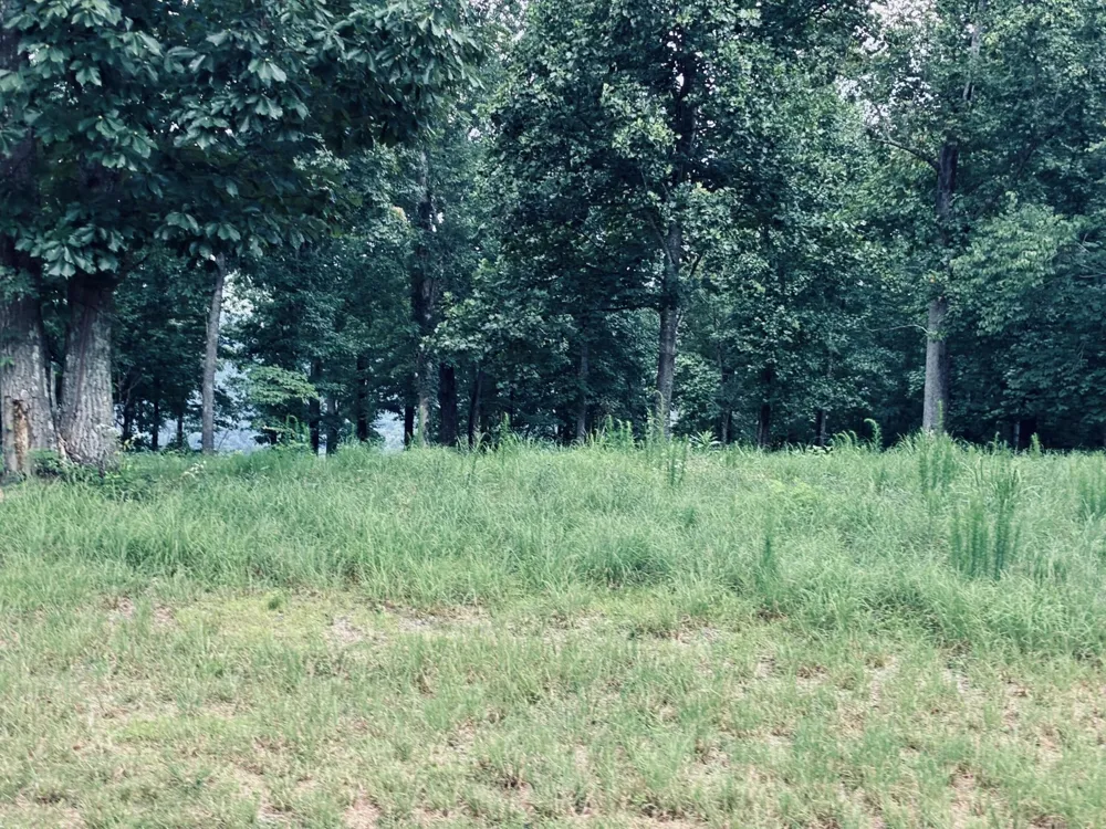 390 Volunteer Street Jasper, TN 37347