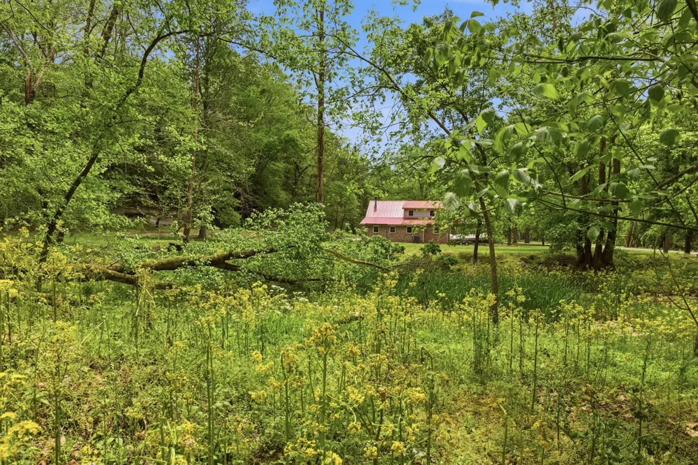 580 Defeated Creek Rd Centerville, TN 37033