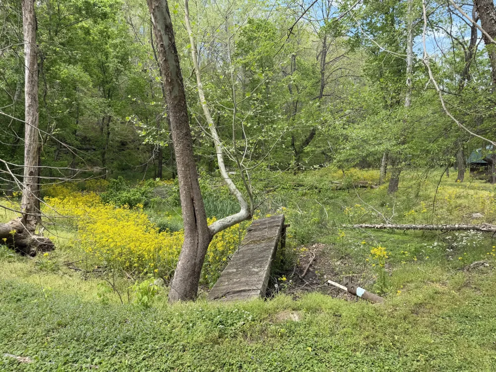 580 Defeated Creek Rd Centerville, TN 37033