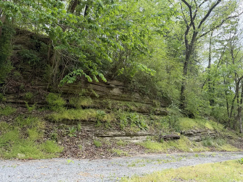 580 Defeated Creek Rd Centerville, TN 37033