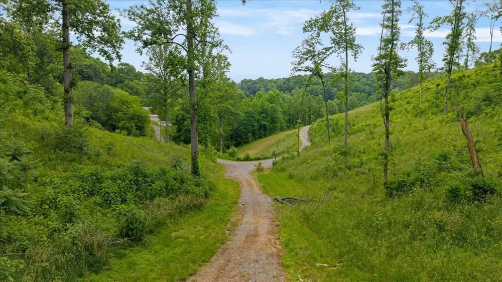1T Barnes Lane Lynchburg, TN 37352