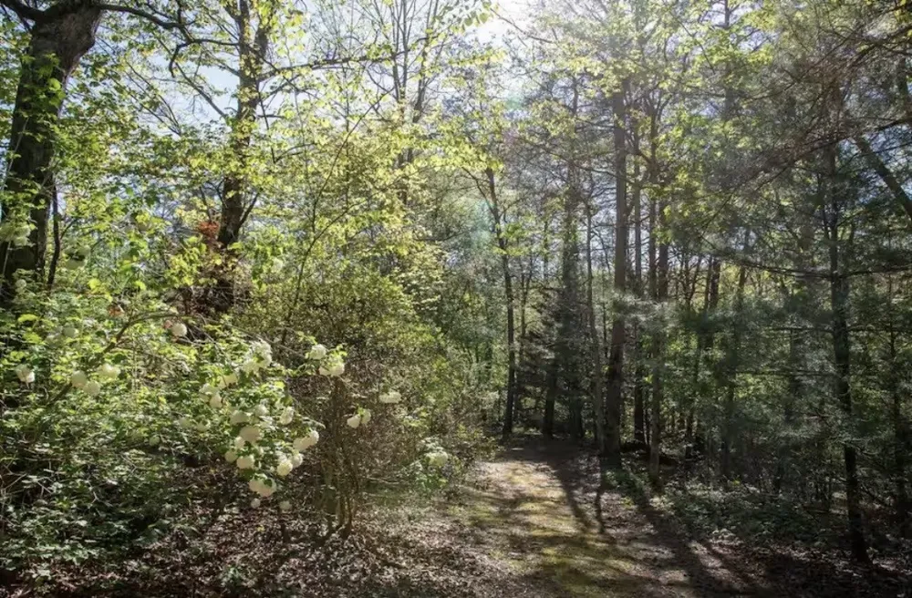 298 Eagle Lake Rd Coalmont, TN 37313