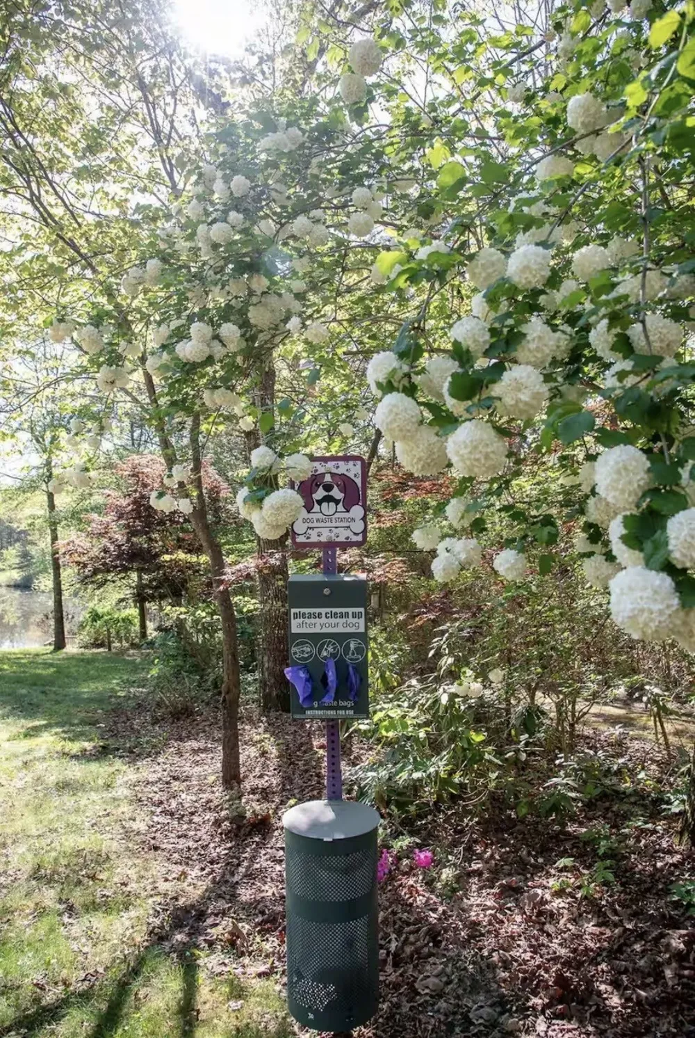 298 Eagle Lake Rd Coalmont, TN 37313