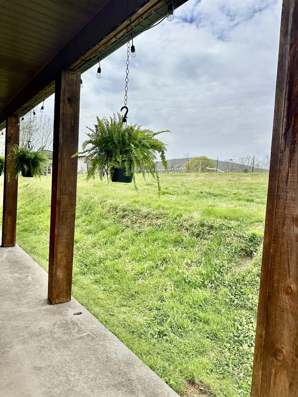 138 Poplar View Ln Huntland, TN 37345