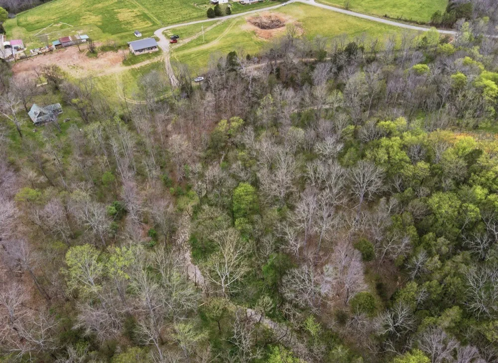 138 Poplar View Ln Huntland, TN 37345