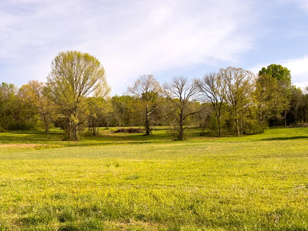 5 Corinth Road Mount Juliet, TN 37122