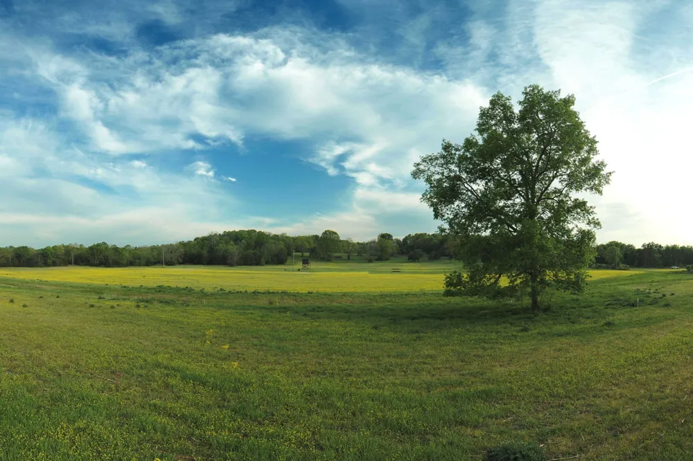 5 Corinth Road Mount Juliet, TN 37122