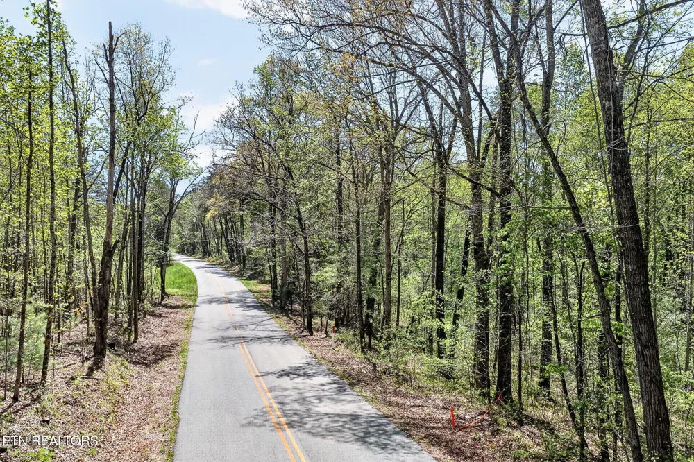 3 Smith Mountain Rd Rockwood, TN 37854