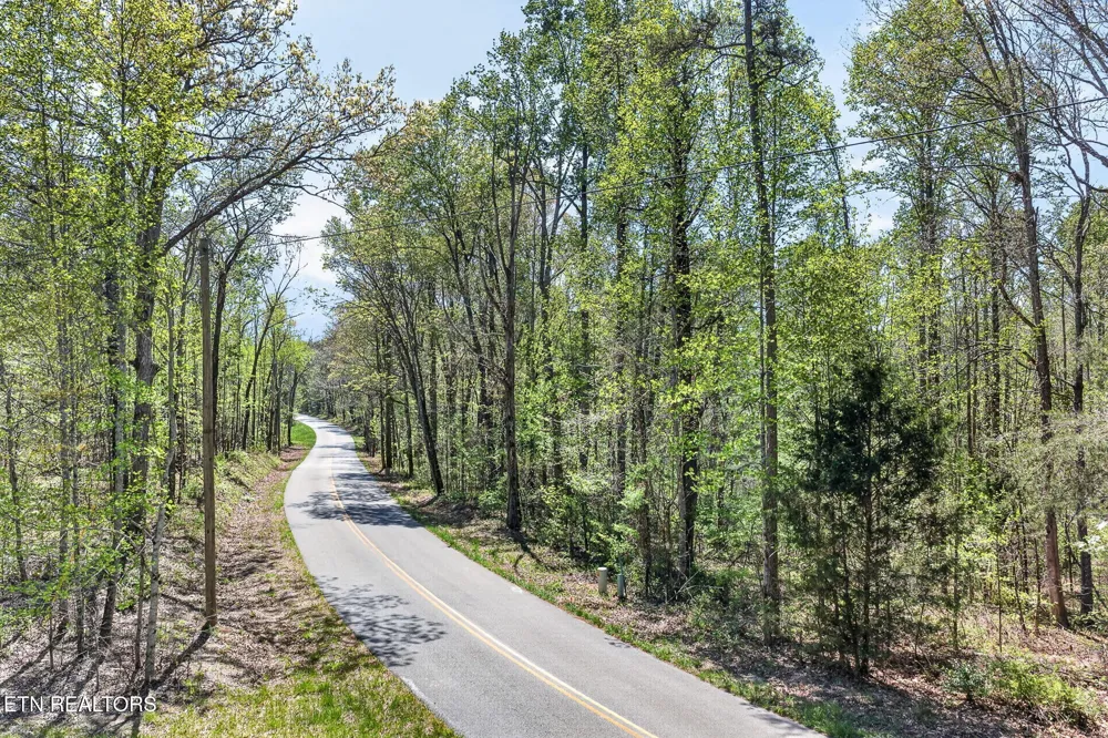 3 Smith Mountain Rd Rockwood, TN 37854