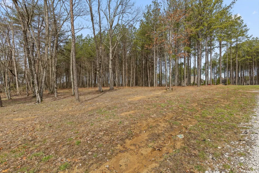 0 Pine Knot Pass Jasper, TN 37347