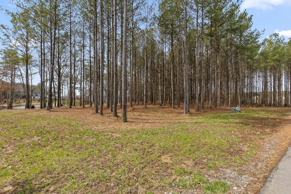 0 Pine Knot Pass Jasper, TN 37347