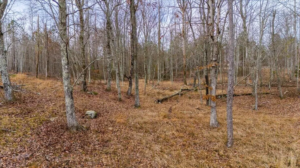 0 Crockett Point Jasper, TN 37347