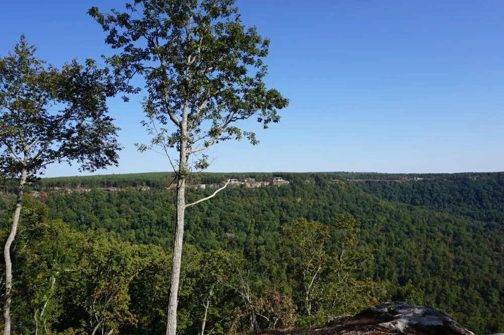 0 Crockett Point Jasper, TN 37347