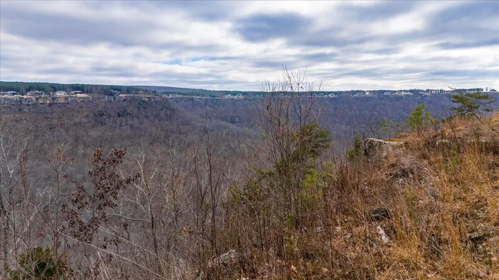 0 Crockett Point Jasper, TN 37347