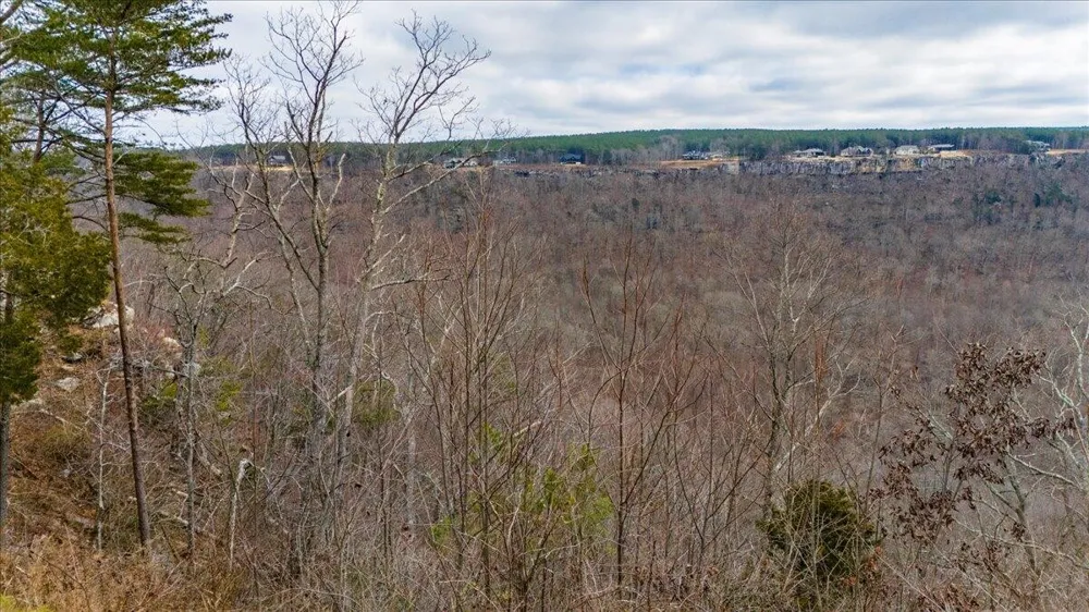 0 Crockett Point Jasper, TN 37347