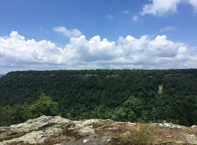 0 Crockett Point Jasper, TN 37347