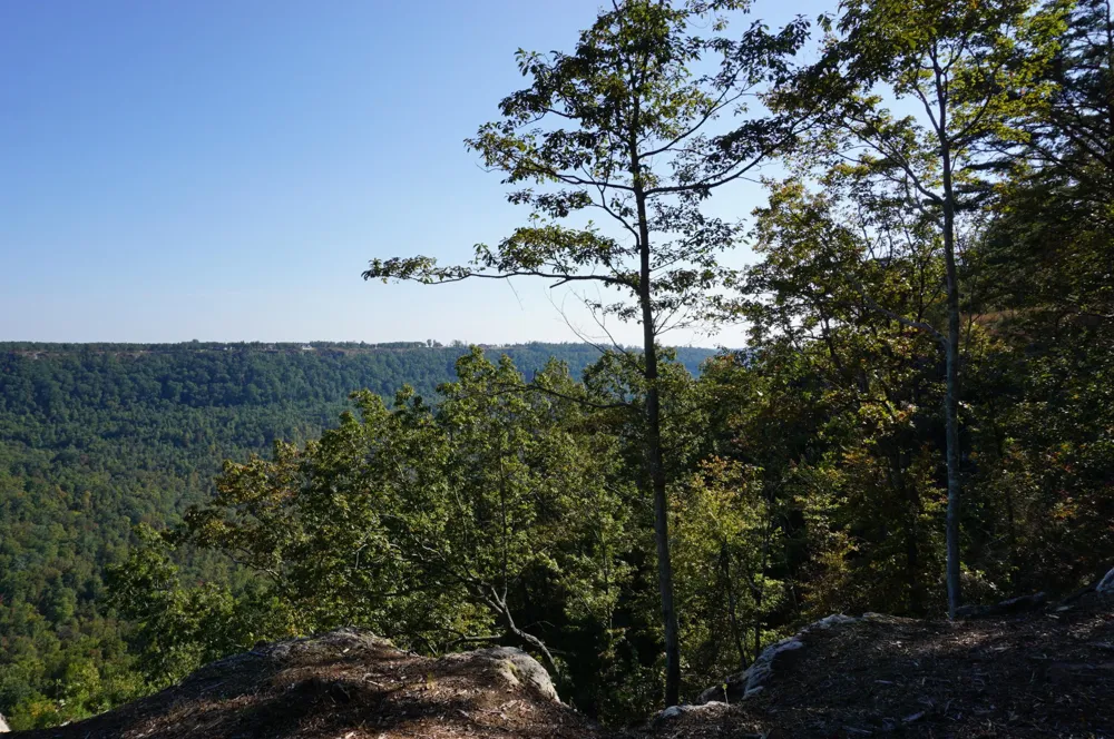 0 Crockett Point Jasper, TN 37347