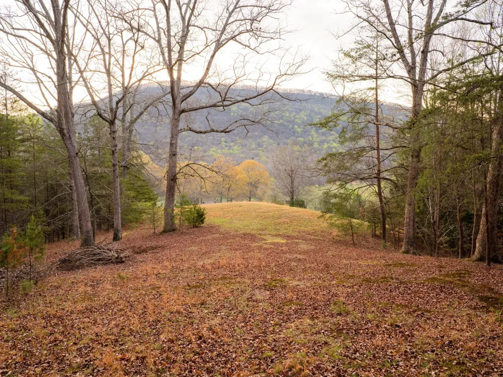 8040 Hog Jowl Road Chickamauga, GA 30707