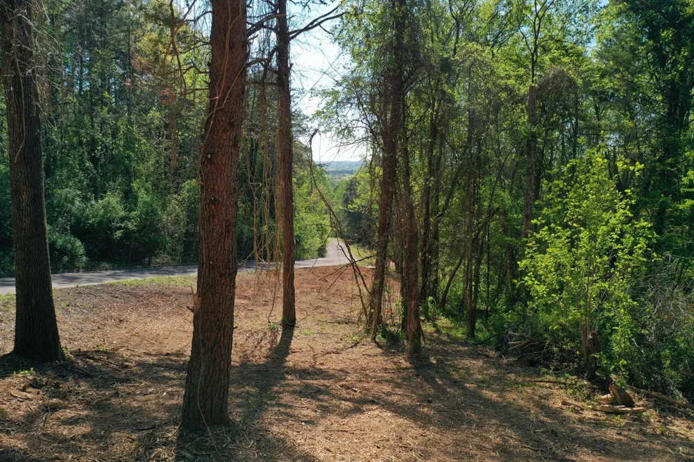 0 Elm Lane Sweetwater, TN 37874