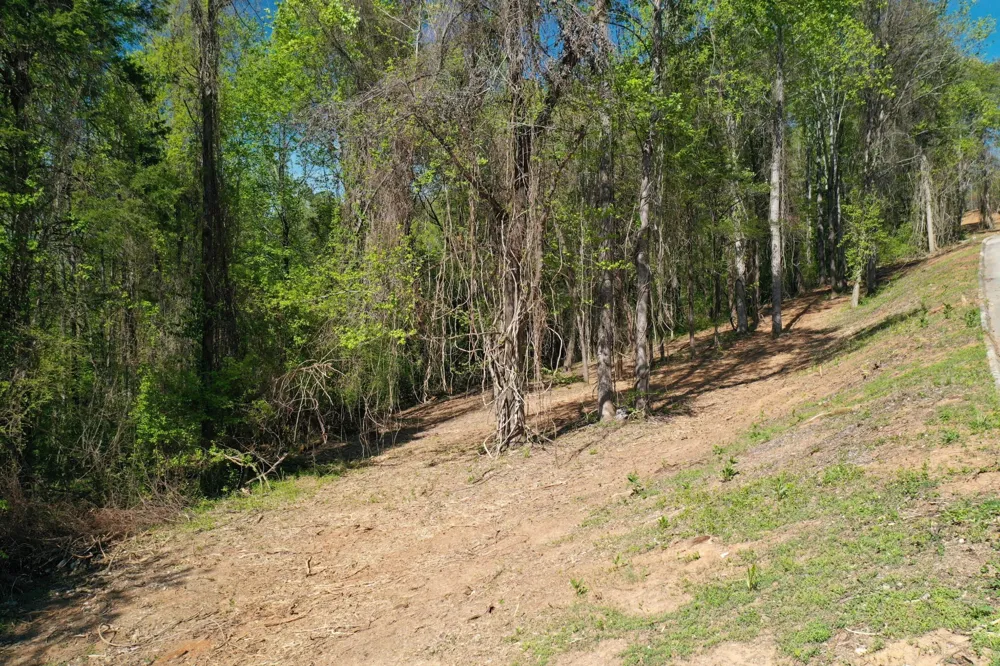 0 Elm Lane Sweetwater, TN 37874