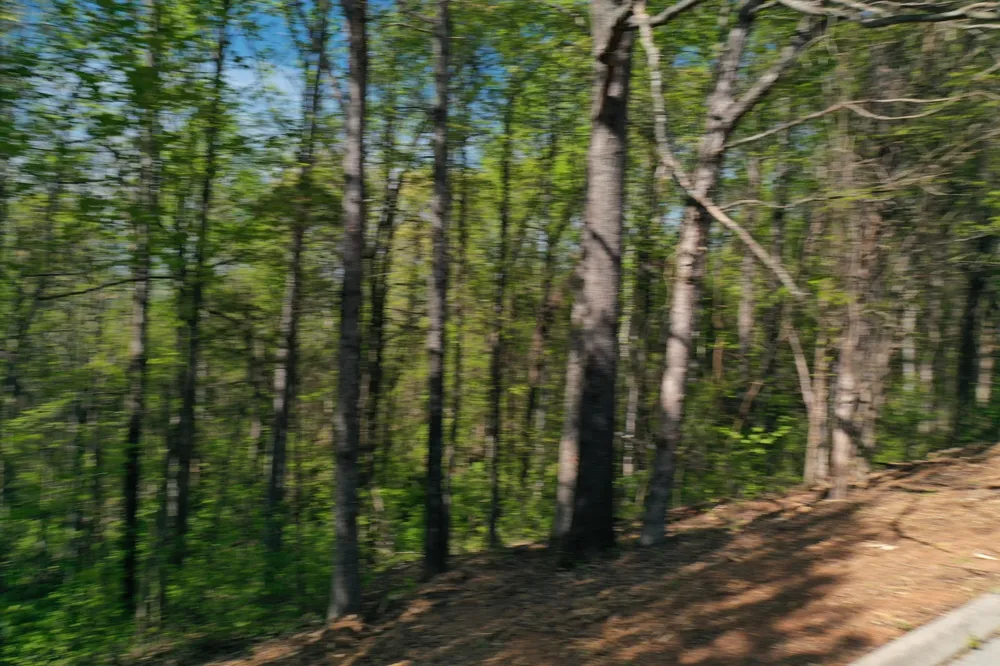 0 Elm Lane Sweetwater, TN 37874