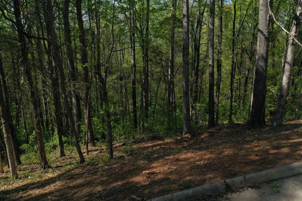 0 Elm Lane Sweetwater, TN 37874