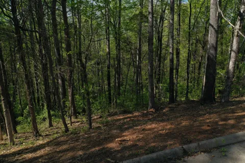 0 Elm Lane Lot 16 Lane