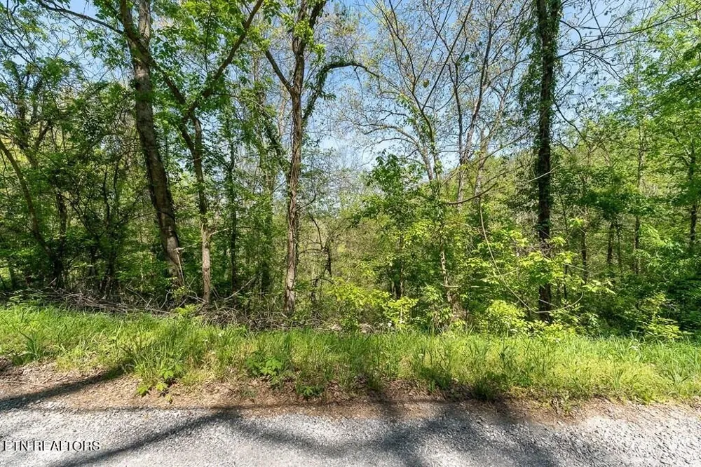 588 Austin Bottom Rd Baxter, TN 38544