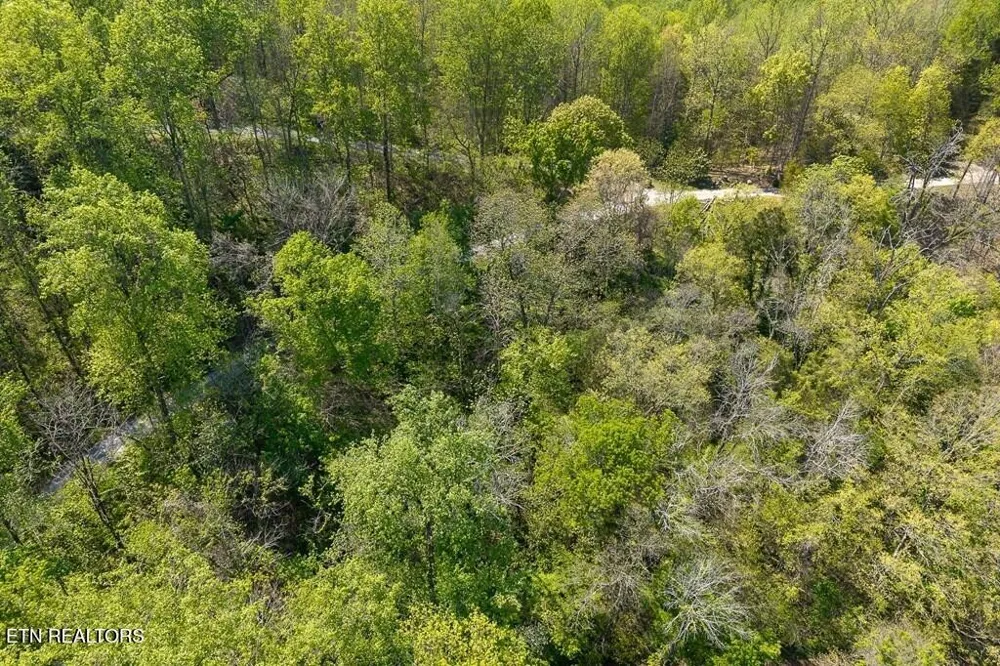 588 Austin Bottom Rd Baxter, TN 38544