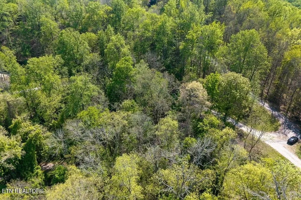 588 Austin Bottom Rd Baxter, TN 38544