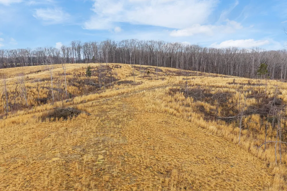 0 Flatwoods Road Camden, TN 38320