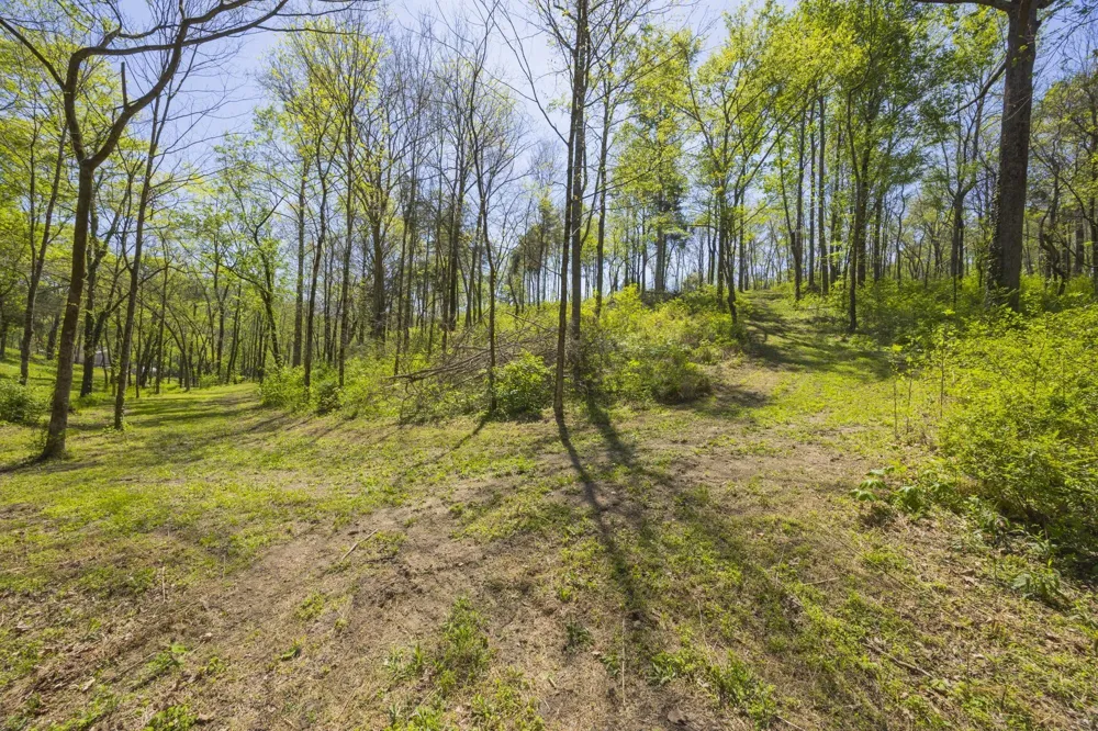 1 Johnson Hollow Road Thompsons Station, TN 37179
