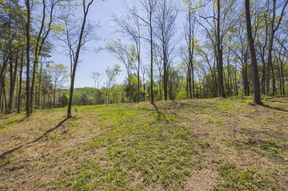 1 Johnson Hollow Road Thompsons Station, TN 37179