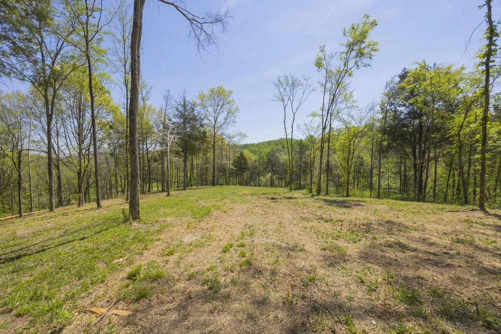 1 Johnson Hollow Road Thompsons Station, TN 37179