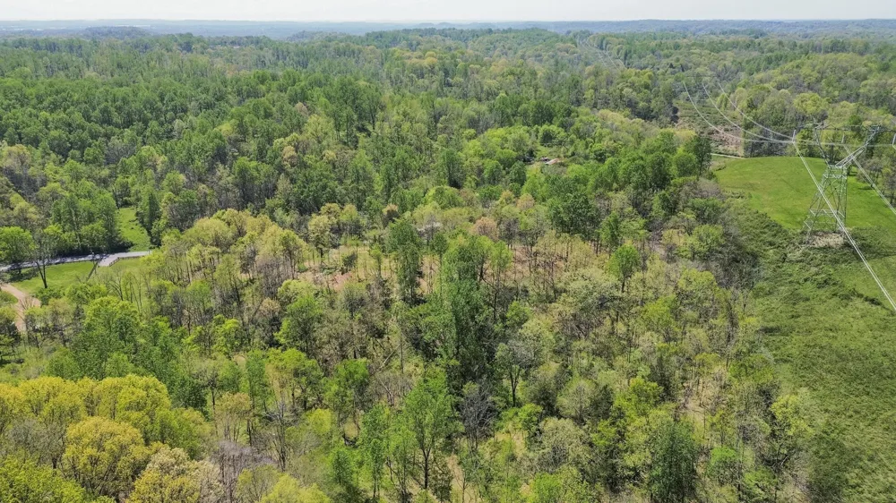 1 Johnson Hollow Road Thompsons Station, TN 37179